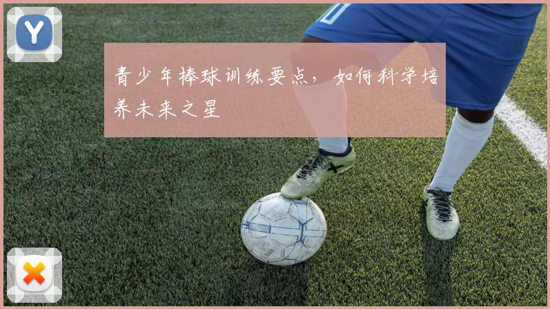 青少年棒球训练要点，如何科学培养未来之星